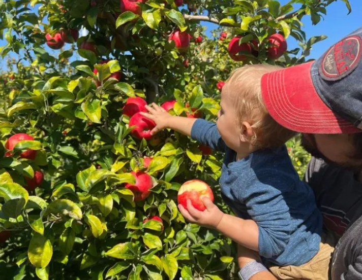 Baby and dad picking apples